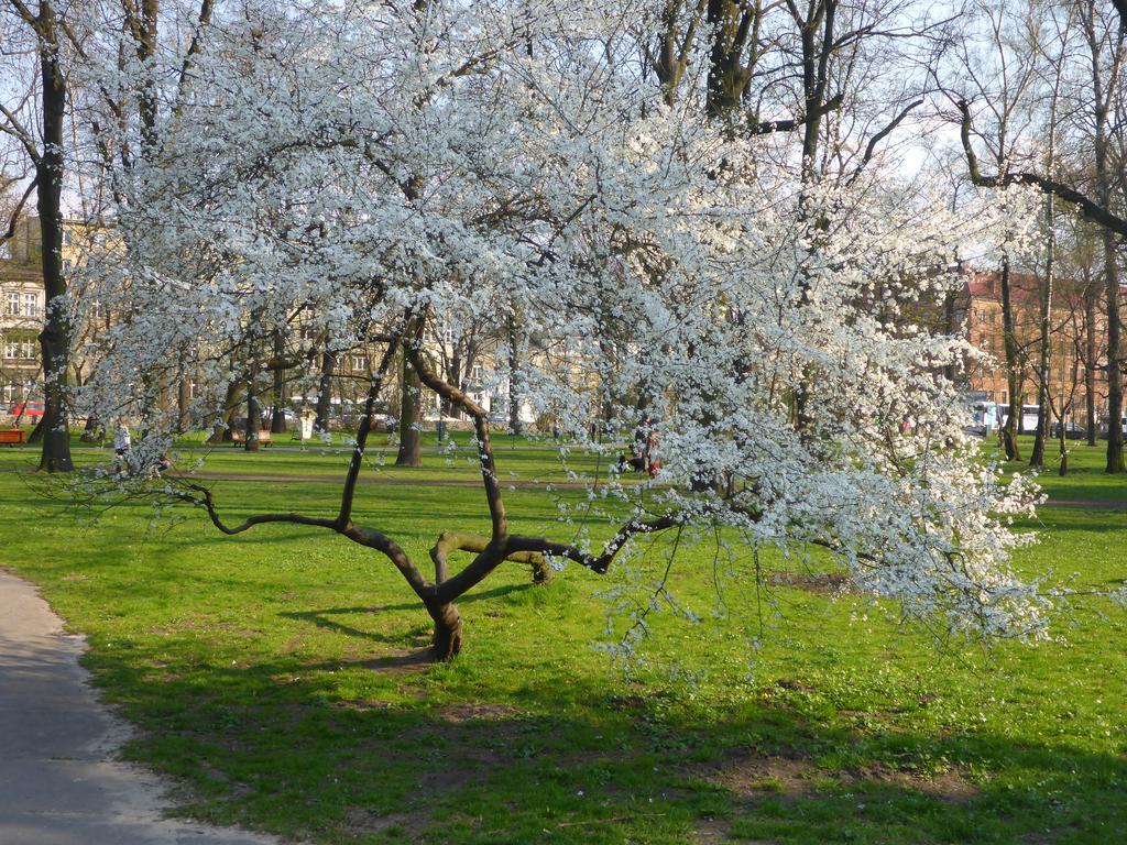 Garden Apartment Красков Екстериор снимка